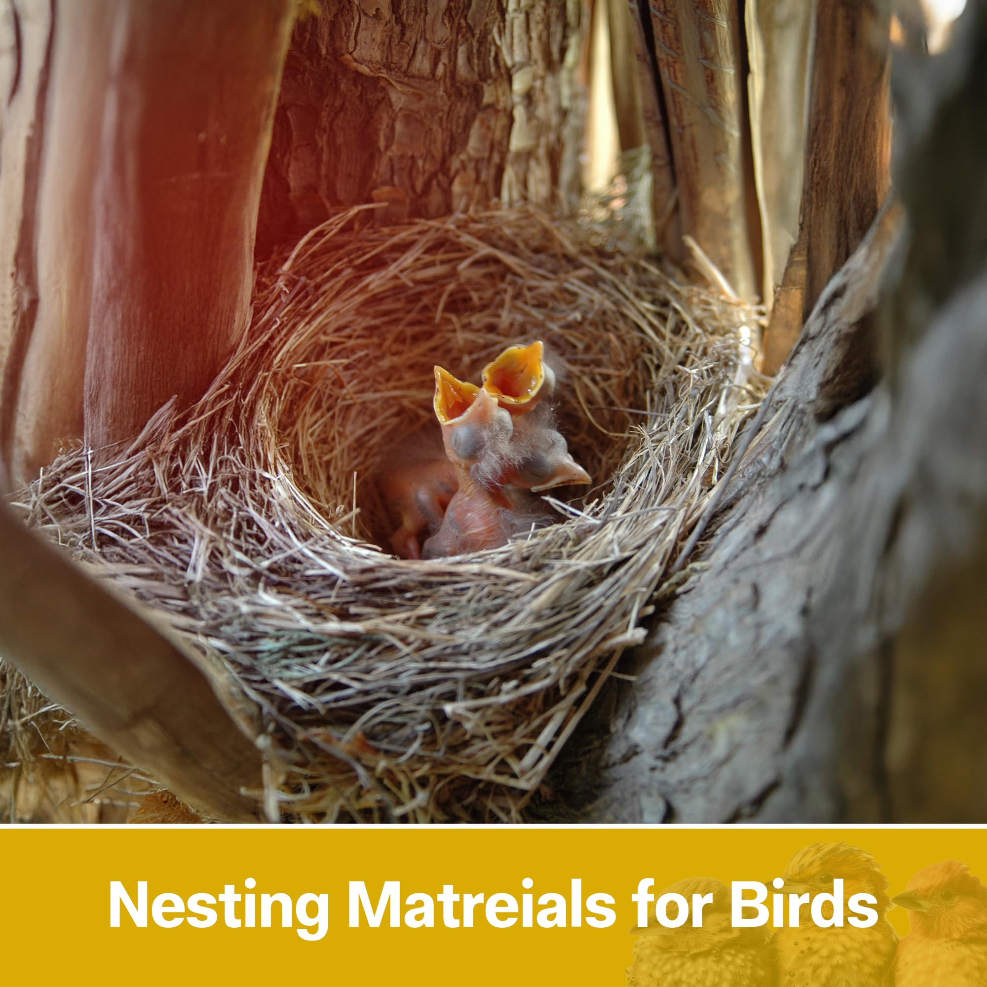 Sparrow Daughter Natural Coco Fiber Nesting Materials for Making 4 nests, for All Small Birds and Animals, Laying Eggs Breeding as Natural Bed, (200 Grams) 2