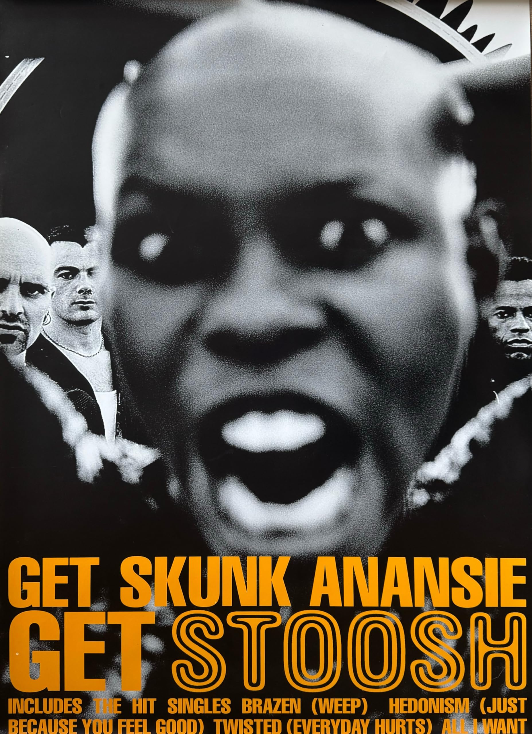 Générique Skunk Anansie – 50X70 Cm Poster