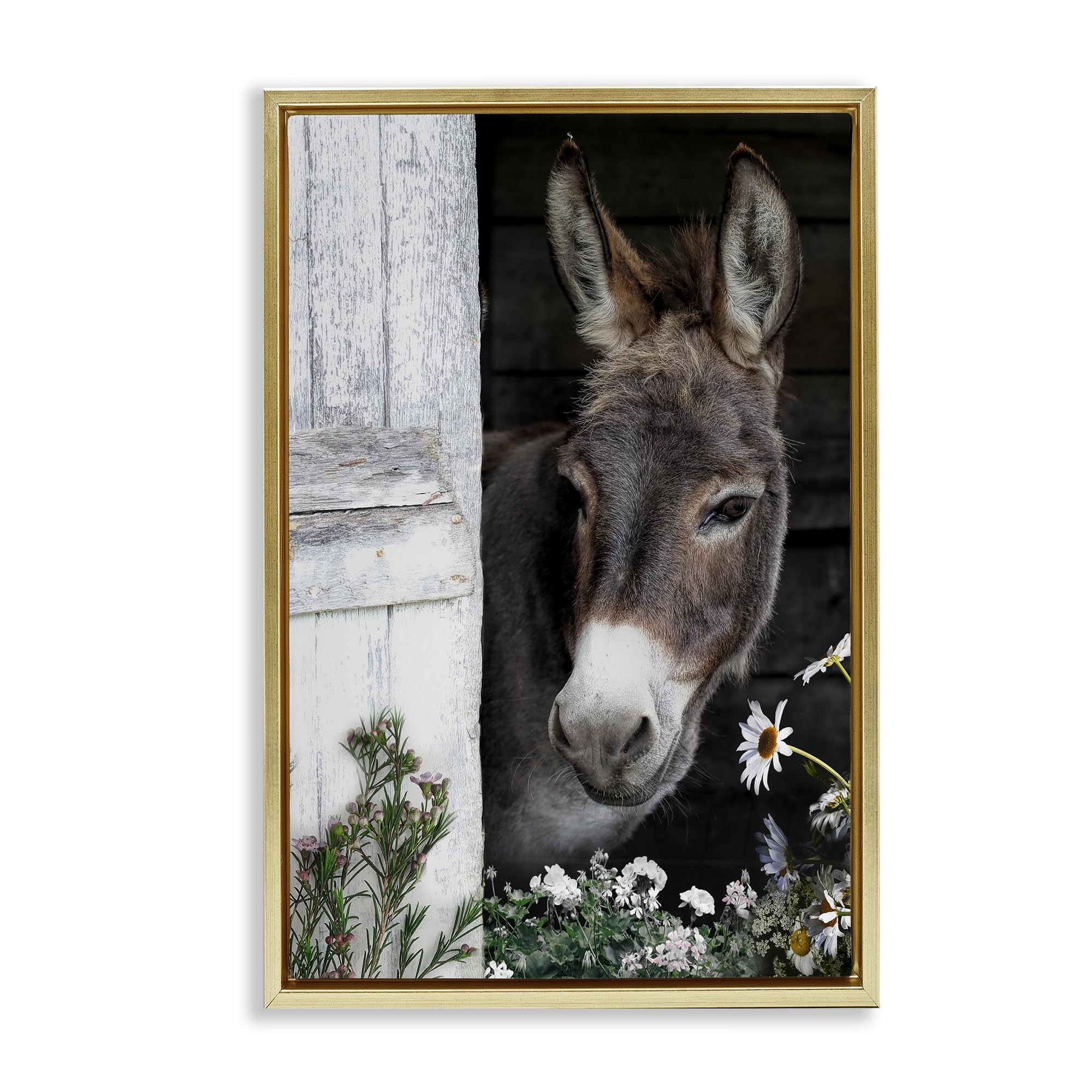 Stupell Industries Metallic Gold (Matte) Gentle Donkey Barn Peering Farmhouse, 16 X 24 Inch Canvas In Floater Frame