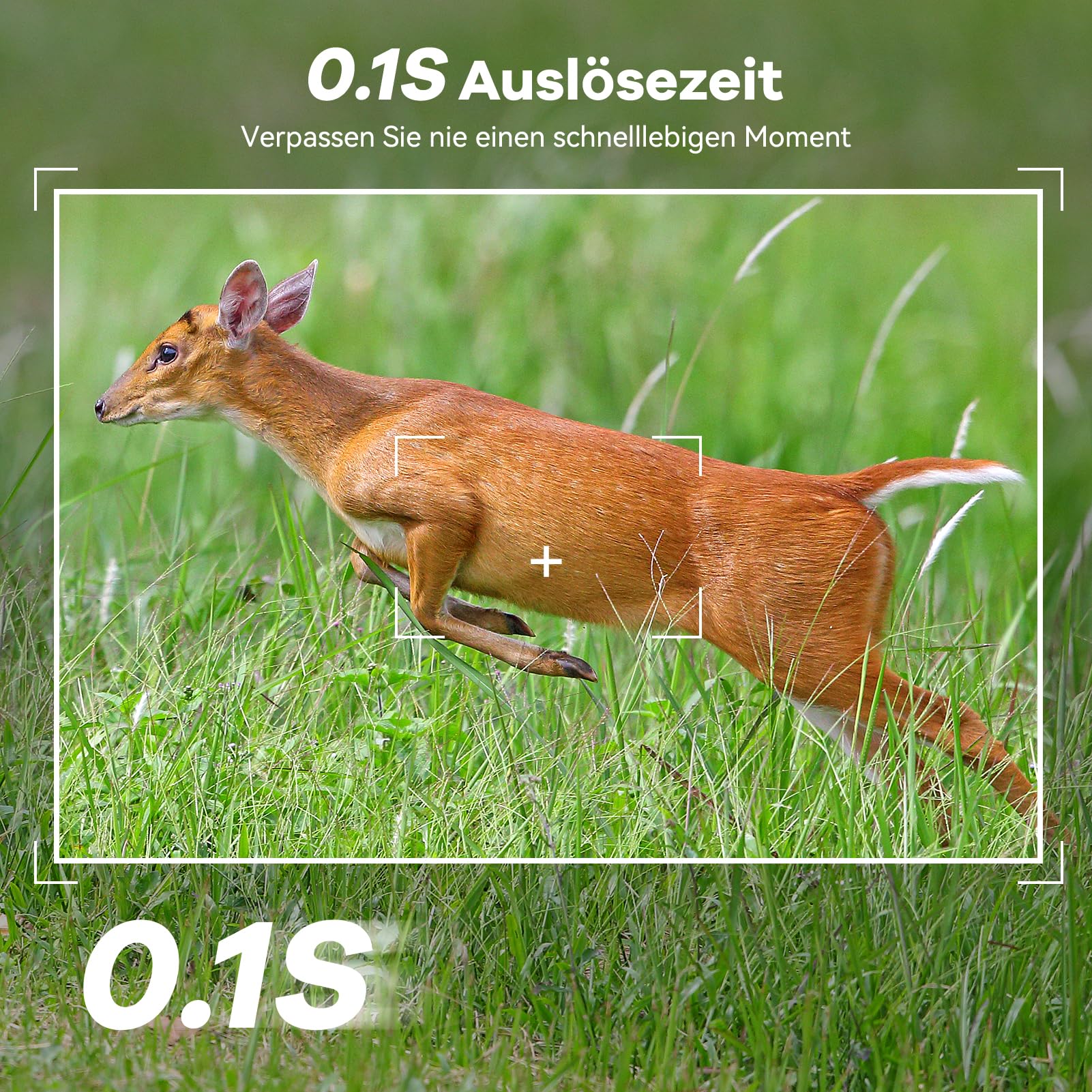 DEATTI 4G LTE Wildkamera mit Handyübertragung APP, 2.7K Solar Wildkamera mit SIM Karte, PIR Bewegungsmelder, Nachtsicht, 120° Weitwinkel Wildtierkamera, IP66, 7800mAh Akku (ohne SD Karte)