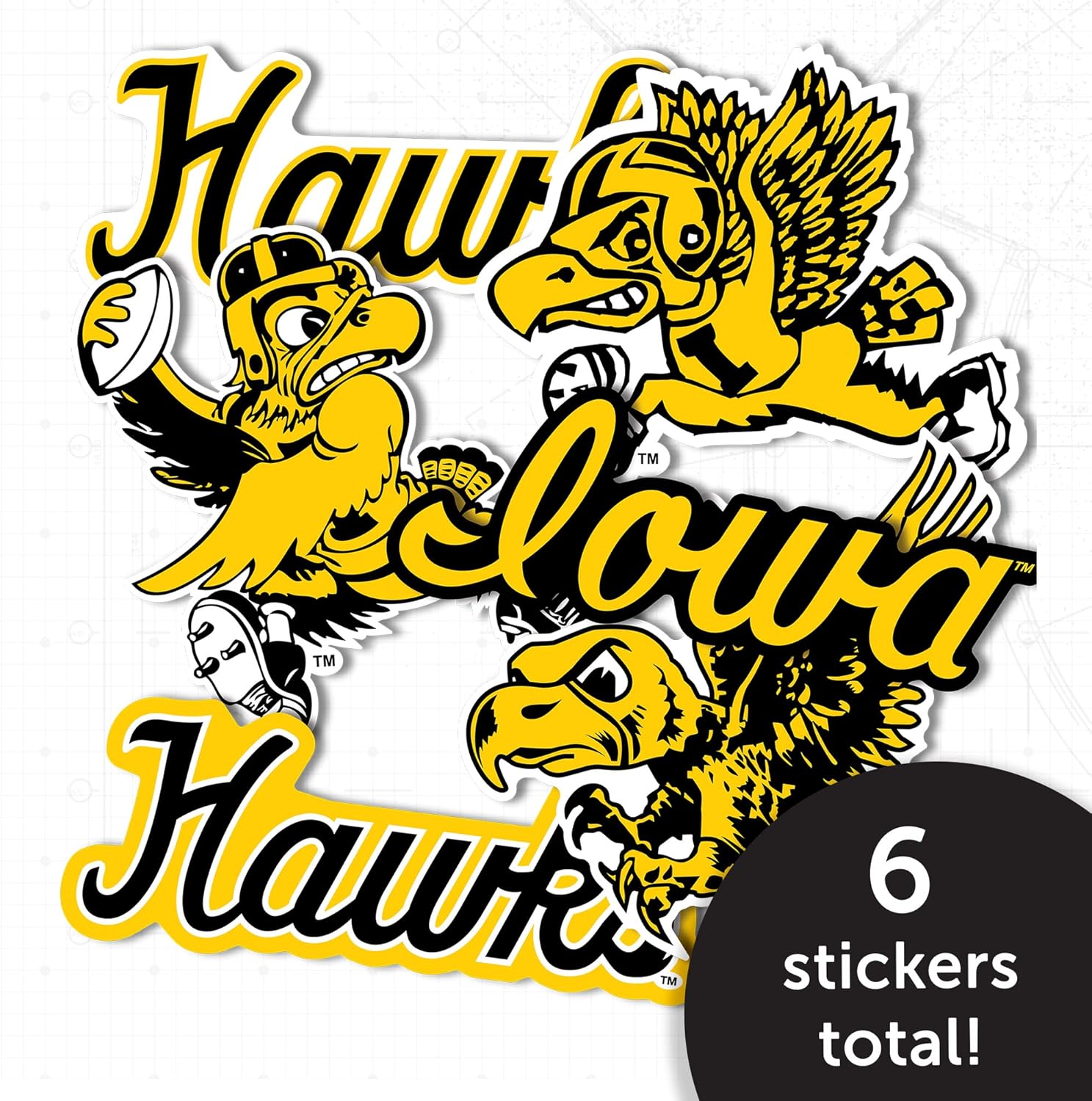Desert Cactus University of Iowa Sticker Hawkeyes Vinyl Decals Laptop Water Bottle Car Scrapbook Sheet T2 (Type 2 Vintage) - Image 4