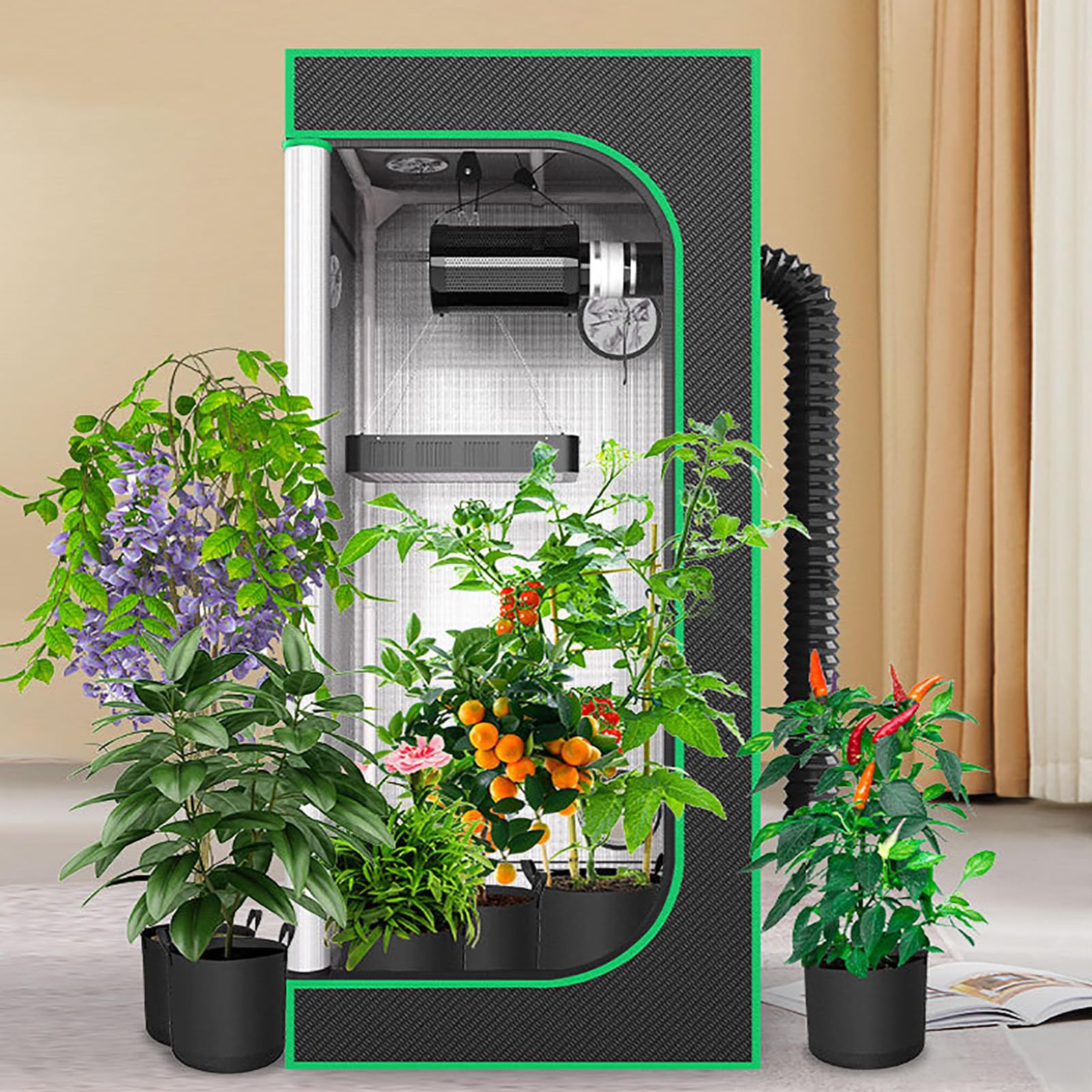 Djfyvaeio Multicolor Grow Tent,Small Grow Tent,Available In 4 Sizes,600D High-Density Composite Fabric,Alloy Frame,Timer Settings,Promote Plant Growth,Small Greenhouse 40 * 40 * 160