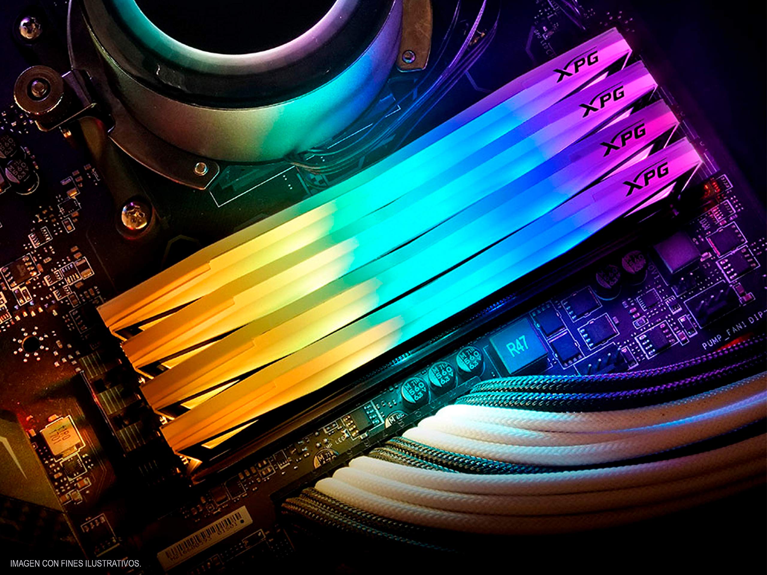 Amazon.in: Buy A-DATA XPG SPECTRIX D60G DDR4 RGB 8GB (1x8GB