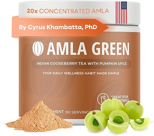 Suplemento de superalimento en polvo Amla con especias de calabaza, 20 veces amla ultra concentrado, hecho con canela, jengibre, nuez moscada,