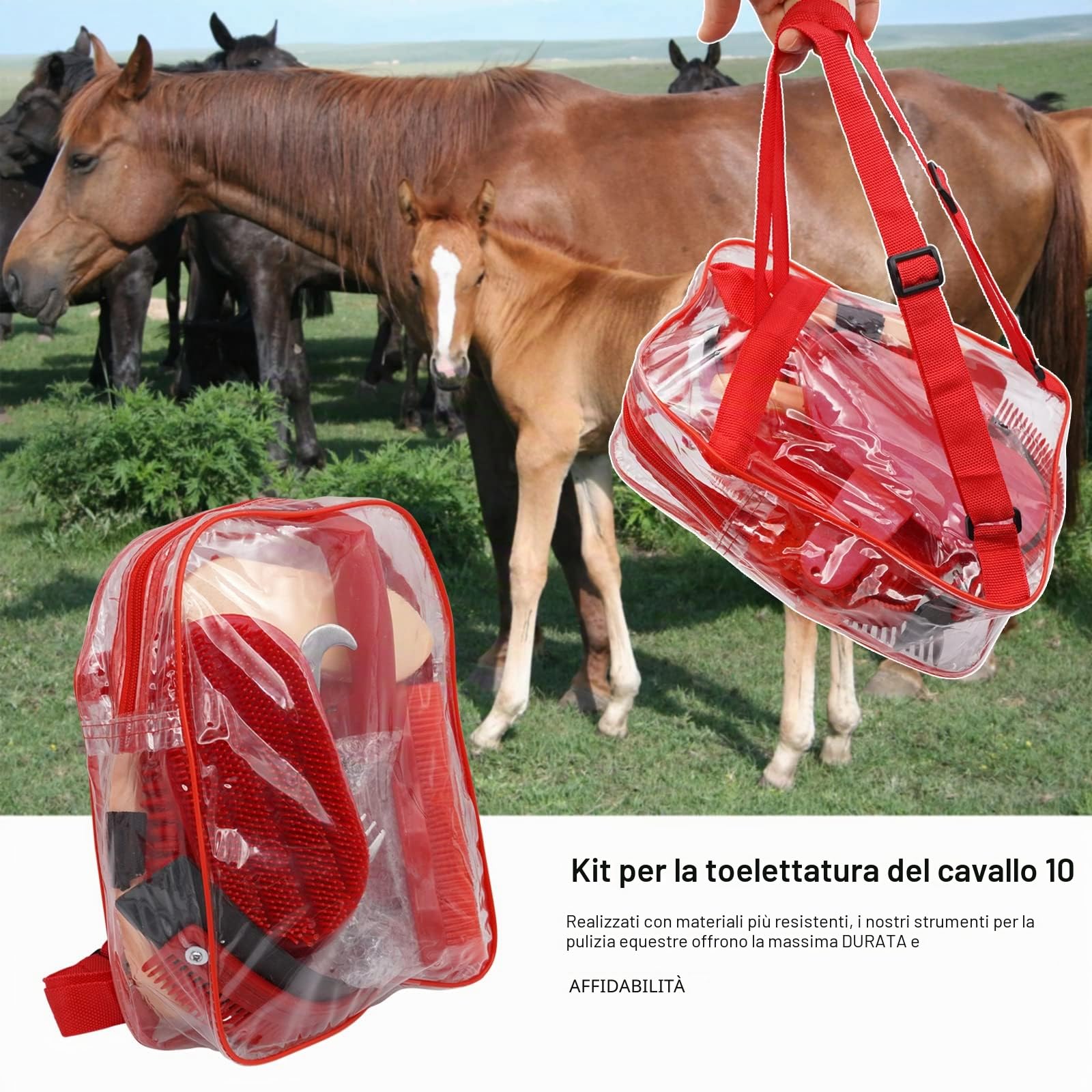 10 in 1 Kit per la Toelettatura dei Cavalli Spazzola per Cavalli Pettine Curry Spazzola per la Cura dei Cavalli Raschietto per Sudore Pettine per la Pulizia Ottima Presa
