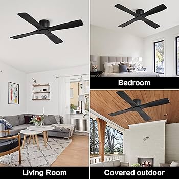 Amazon.com: WINGBO 54