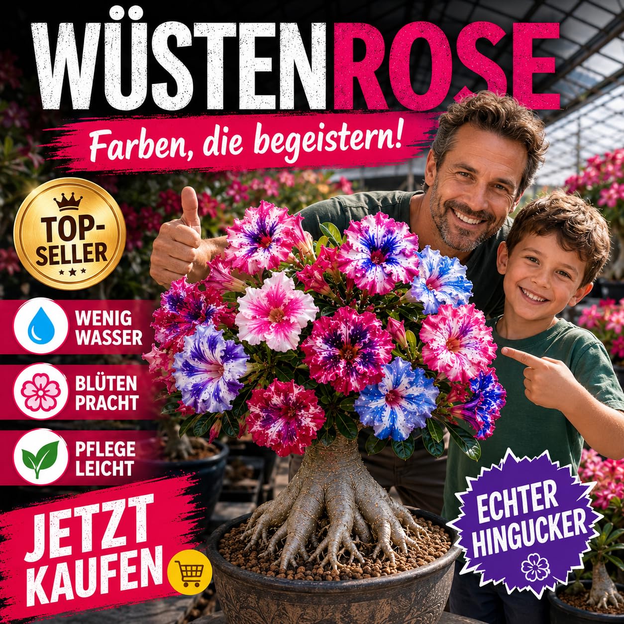Ideale Seltene WüStenrosen, üBerraschend Wachsend, Lange BlüTezeit,Gartende Seltene, Kältefeste-5Zwiebeln-F