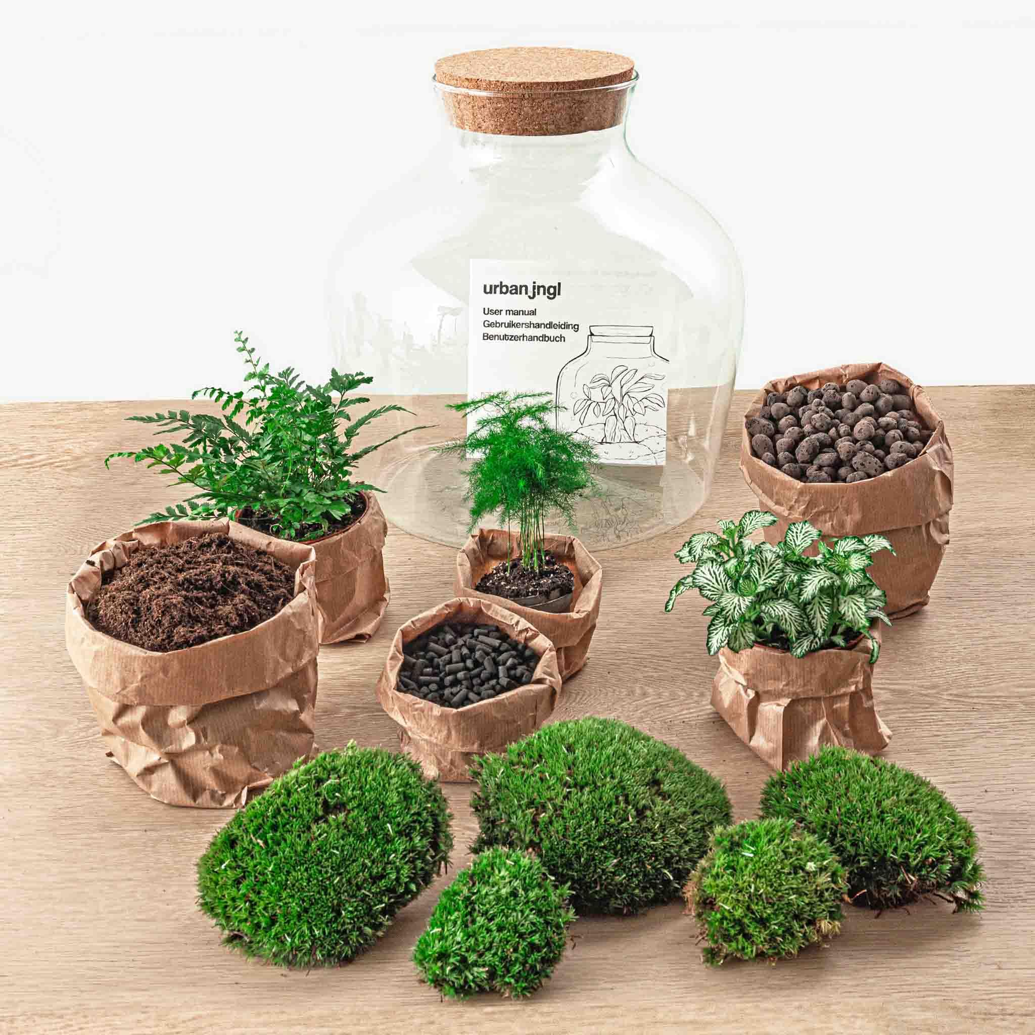 Ogród butelkowy • Fat Joe Green • Rośliny w szkle • ^ 30 cm - DIY - Terrarium Kompletny zestaw - Terrarium - urbanjngl | Zestaw do terrarium