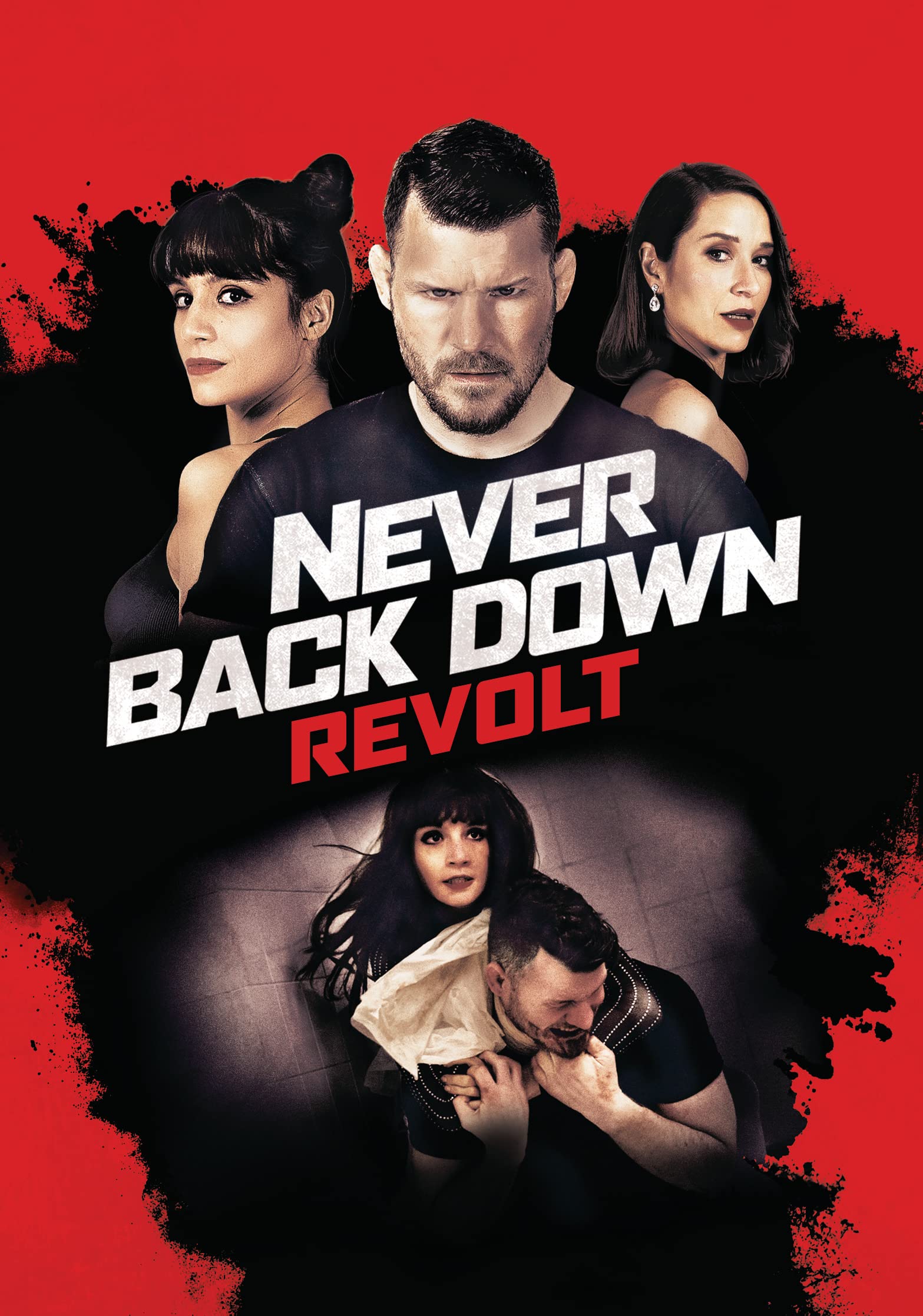 Dvd Never Back Down Full Movie With English Subtitles Download