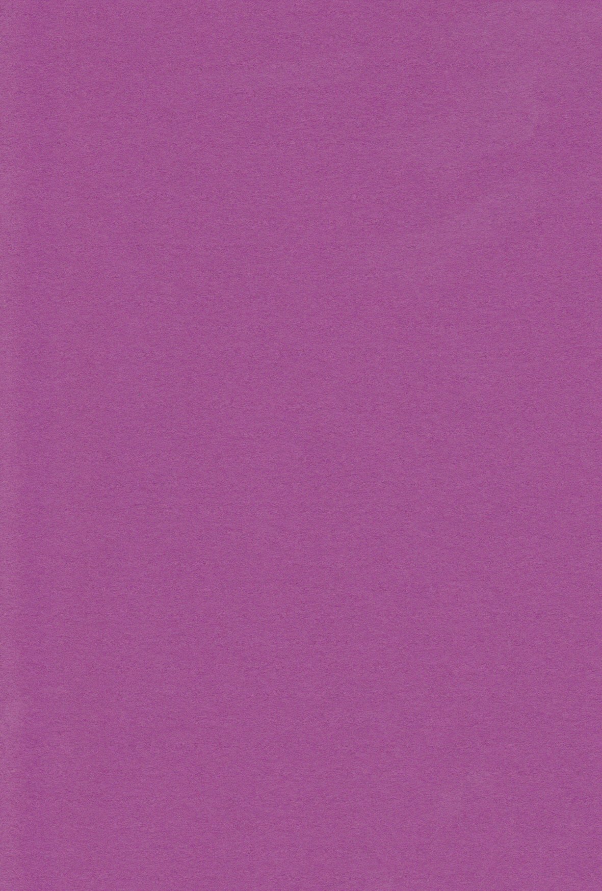 Amazon | エスケント 色画用紙 A4 むらさき 100枚 224106 | 色画用紙