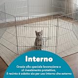 Ver la foto 6