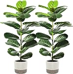 Suntee 2 Figuier à feuilles de violon artificiel, 30" Ficus Lyrata Faux plantes avec pots, plantes artificielles Faux Plantes Intérieures pour Décor Maison Salon, Coin, Bureau, Table, Windowsill Decor (75cm)