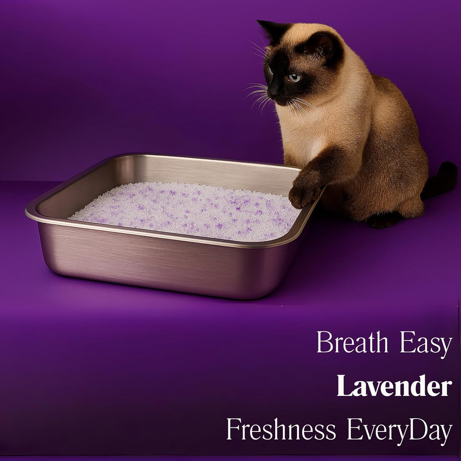 Lavender Cat Litter – Premium Lightweight, Non-Clumping, Dust-Free Crystals for Odor Control, ScoopFree & Easy to Clean, Pretty Kitty Litter for Multi-Cat Homes, Long-Lasting Performance