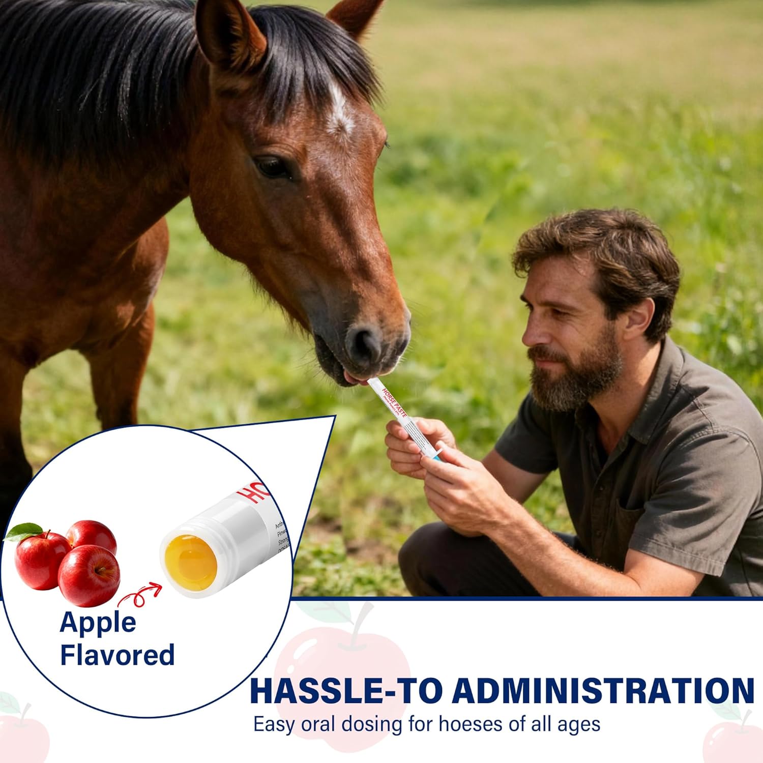6 Pack (6.08g) Apple Flavored Oral Paste for Horses