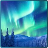 Serene Visions