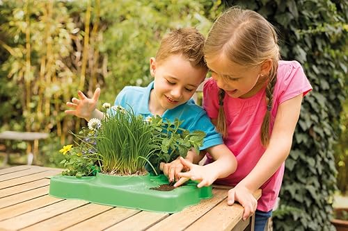 Miniatura 8 de Kids Kit de primeros botánicaInvernadero de experimentales por niños primero