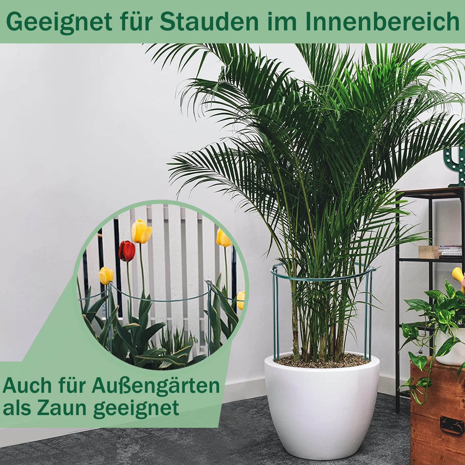 10Stück pflanzenstütze, ASSUGO staudenhalter rund aus beschichtetem Stahl, Metall Garden Halbrund Stützring käfighalter Rankhilfe Klettergitter für Pflanzenanbau Grenzstütze(25 * 40cm)