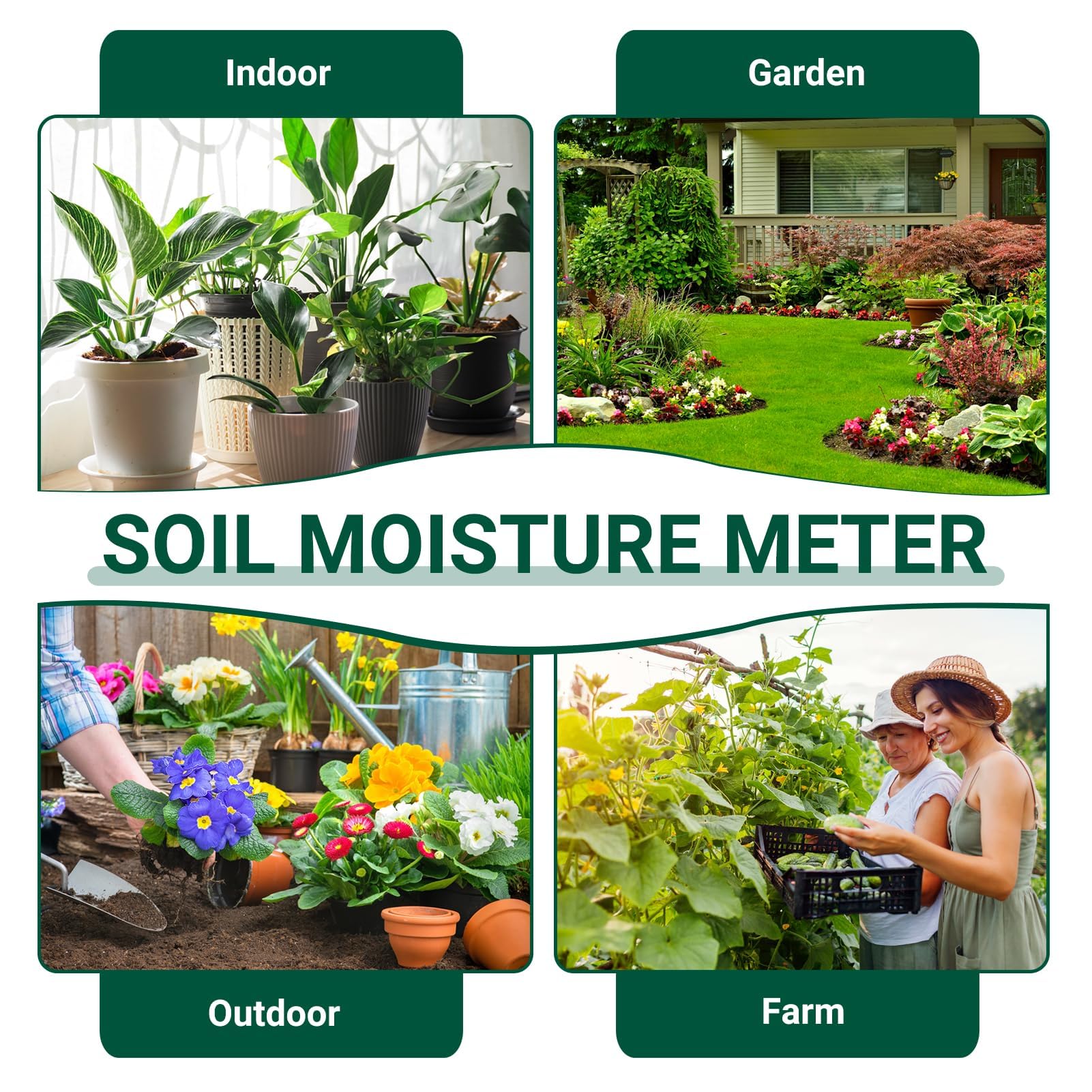 medidor Humedad Plantas, Higrometro de Suelo para Interior y Exterior, Monitor de Riego con Esfera Grande y Precisa, No Requiere Baterías, Cuida Tus Flores y Jardín con Eficiencia Gadget