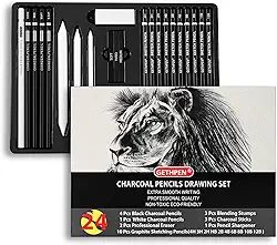 Conjunto de lápis de esboço de desenho, kit de esboço profissional de 24 peças - Lápis de grafite (12B-4H), lápis de carvão para desenho, lápis de carvão preto e branco, palitos de carvão, tocos
