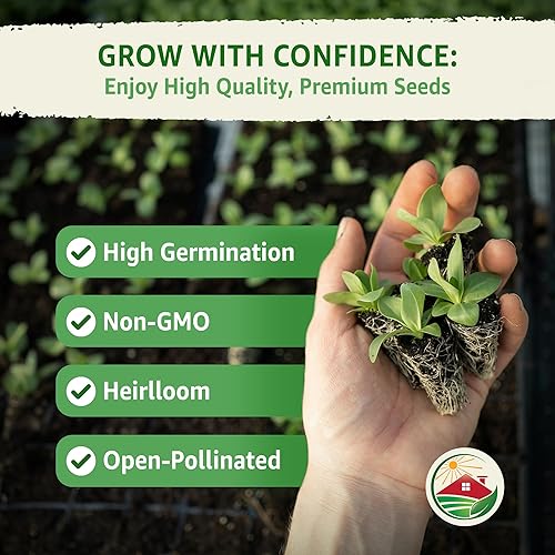 Miniatura 2 de TKE Farms & Gardens - Semillas de perejil italiano de hoja plana para plantar, más de 600 semillas tradicionales sin OMG, perfectas para jardines