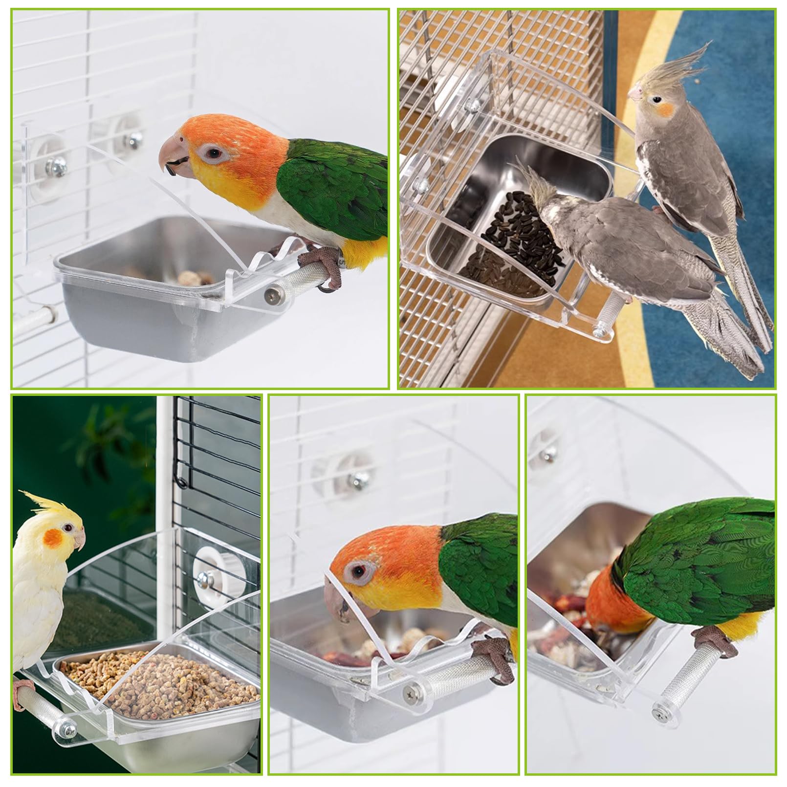 BNOSDM Bird Feeder for Cage with Stainless Steel Food & Water Bowl Acrylic Parakeet Seed Dishes with Anti-Slip Perch Stand for Parrot, Cockatiel, Lovebird, Canary, Finch,Conure,Cockatoo, Pigeon - image 8