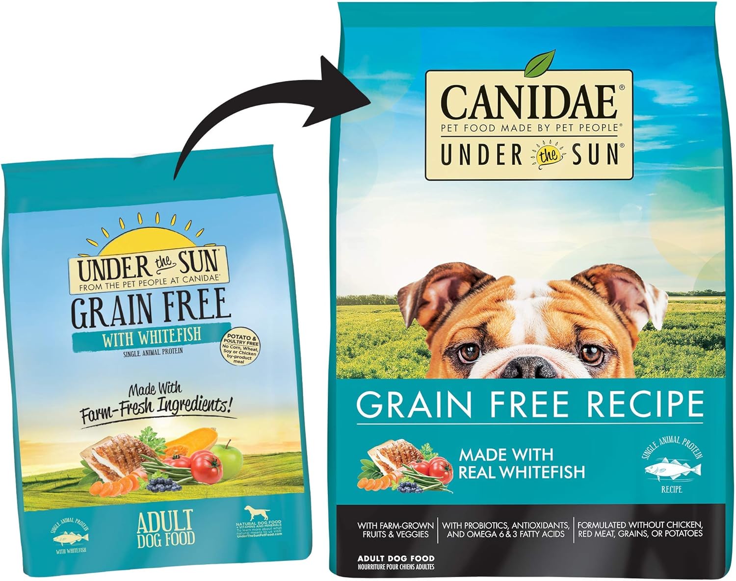 canidae under the sun lamb