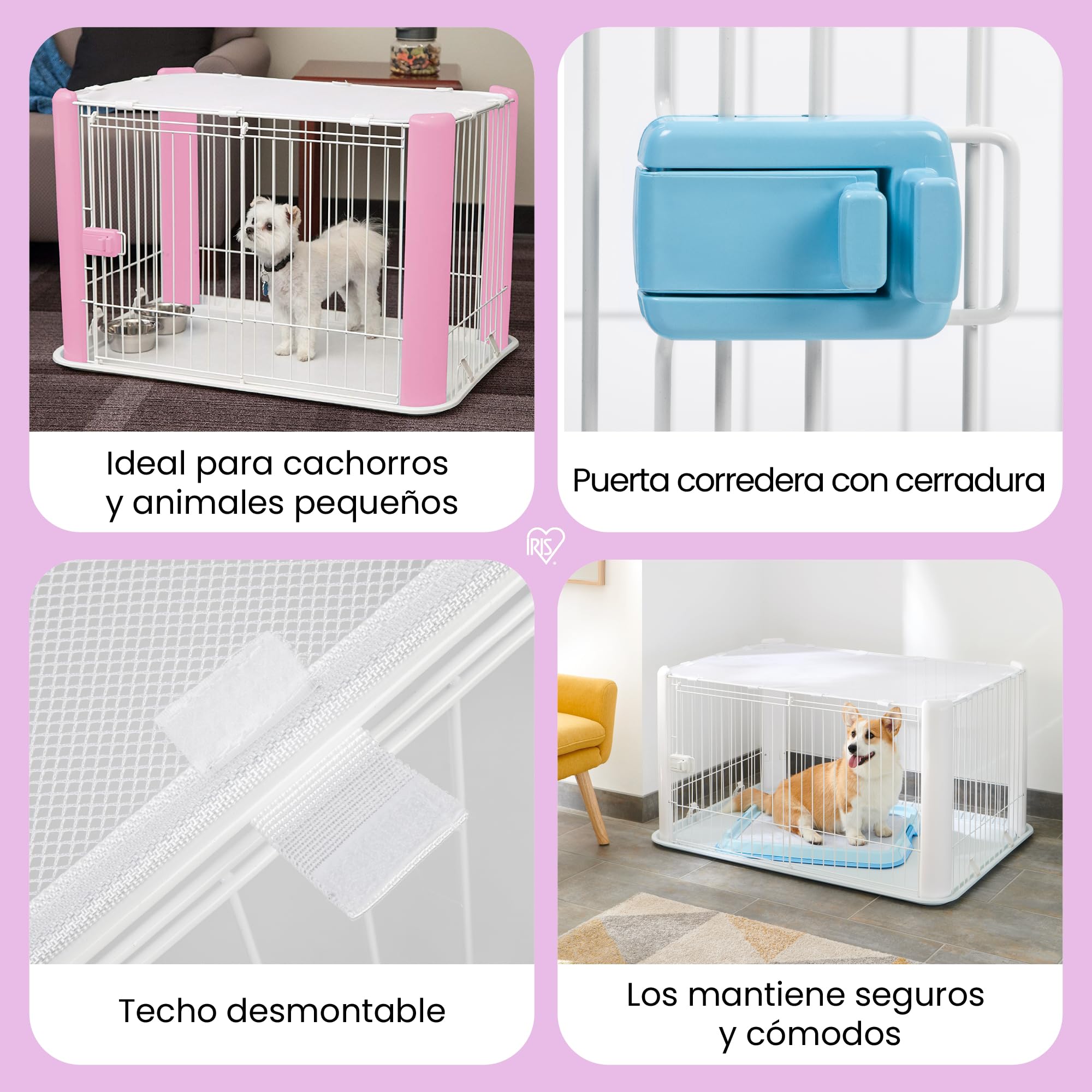 Iris Ohyama Jaula para Perros con Puerta y Cerradura H60cm Blanco Techo Desmontable CLS-1130