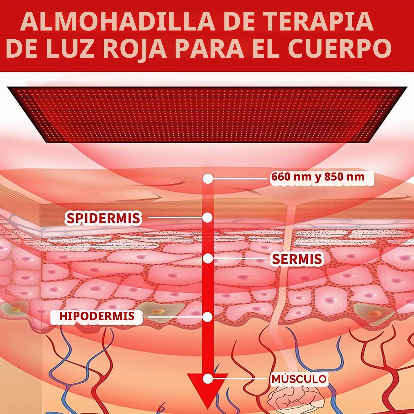Esterilla De Terapia De Luz Roja De 5 Velocidades Y 360 LED,Infrarroja Cercana,Diseñada para Terapia De Cuerpo Completo,Controlador Multifuncional(Size:100 * 55cm,Color:Black)