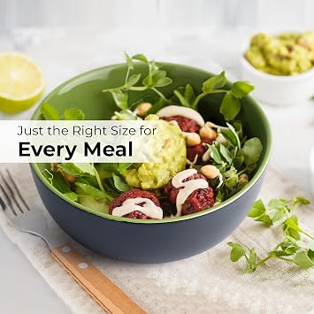 MIAMIO Service for 6 Dishware Set/Stoneware Dinnerware Set Including Plates, Bowls and Mugs Microwave & Dishwasher Safe Le PaPillon Collection (Green, 24-Pieces)