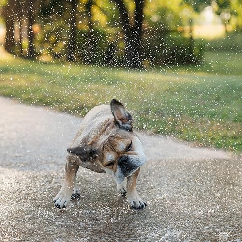 Vista 25 de Veterinary Formula Smart Coat Complex Ultra Oatmeal Champú hidratante para perros, 17 onzas líquidas, rico en humedad, champú nutritivo, deja