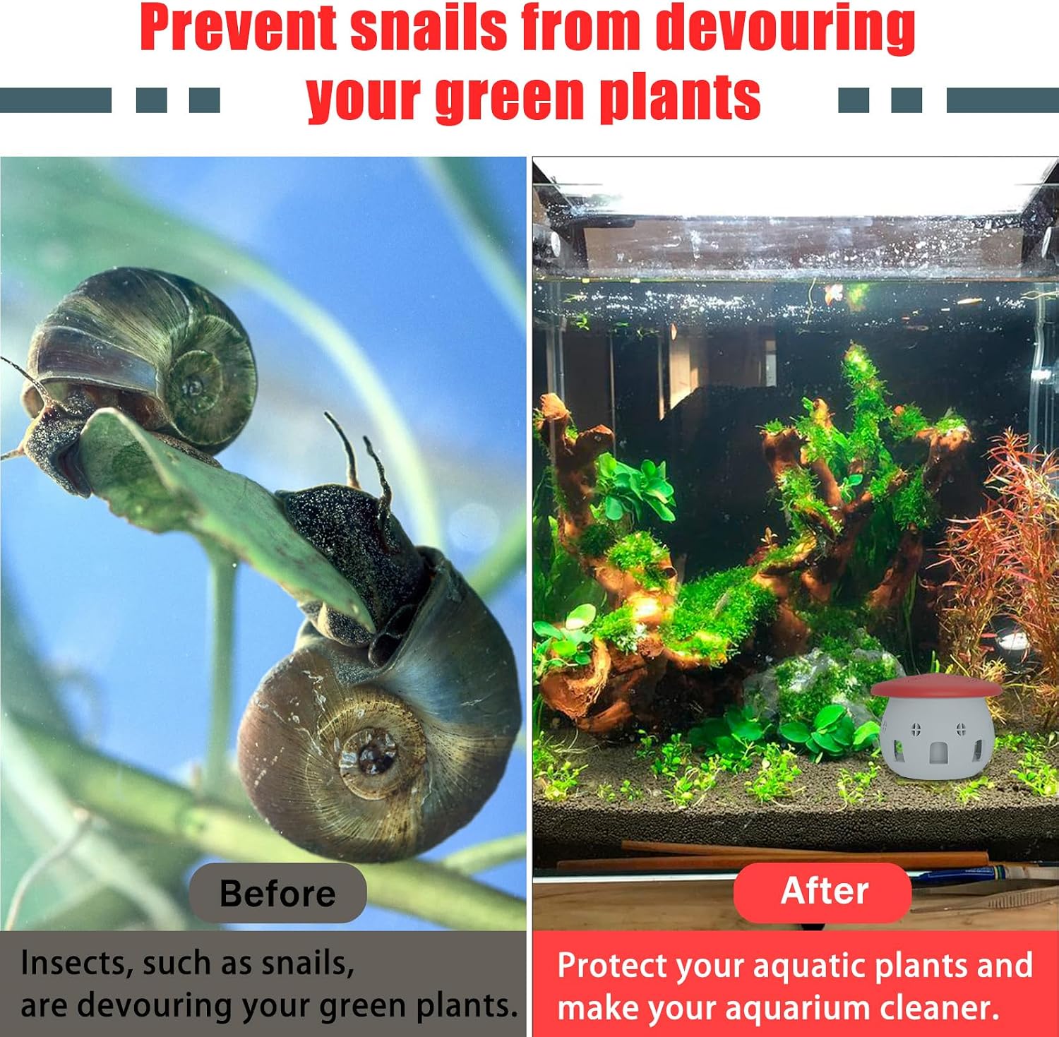Fish Tank Snail Trap, Weighted Base, Small Snails Catcher