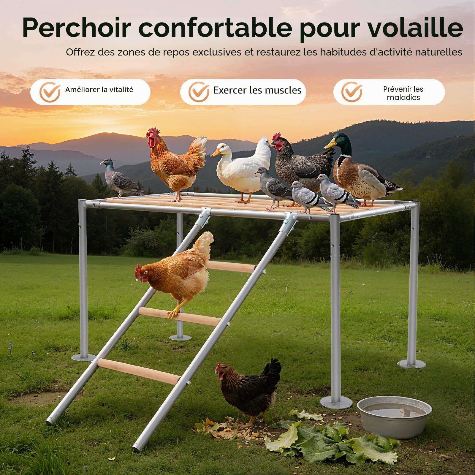 Perchoirs pour poules, plate-forme pour 10 poules adultes, accessoires de poules, balançoire pour poulaillers, fermes d'élevage, cour