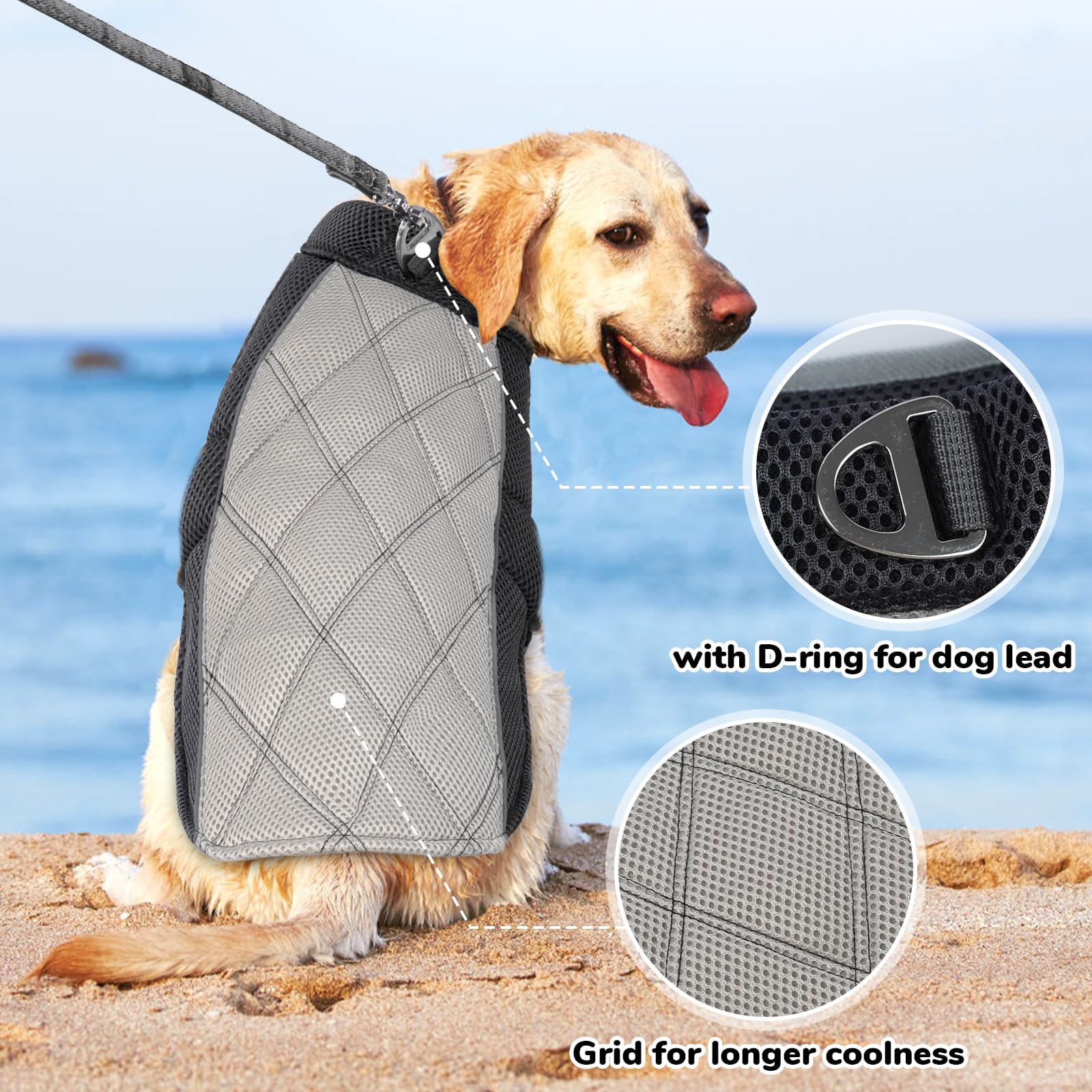 Giubbotto Refrigerante Cane, Confortevole Cappottino Refrigerante per Cani Gilet Rinfrescante Cane Traspirante Giubbotto Cani con Pettorina per Calde Giornate Estive, Grigio Antracite M