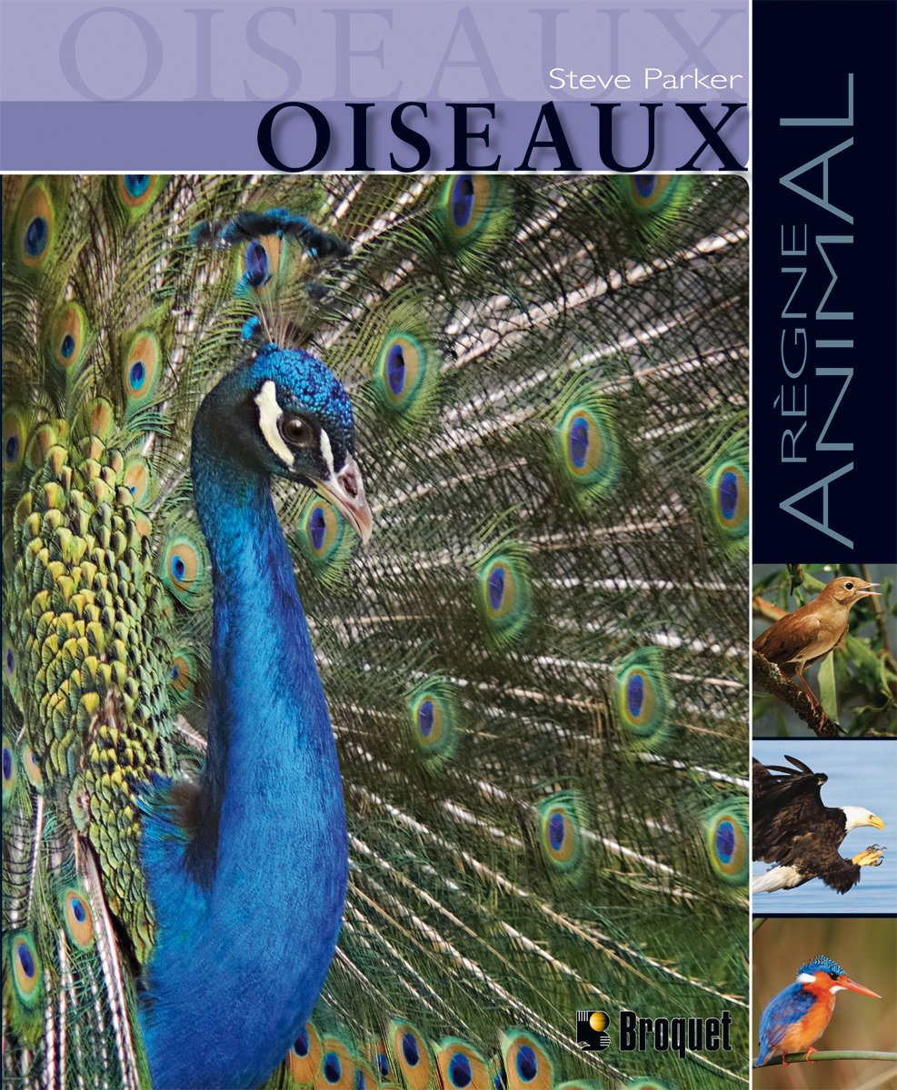 Oiseaux