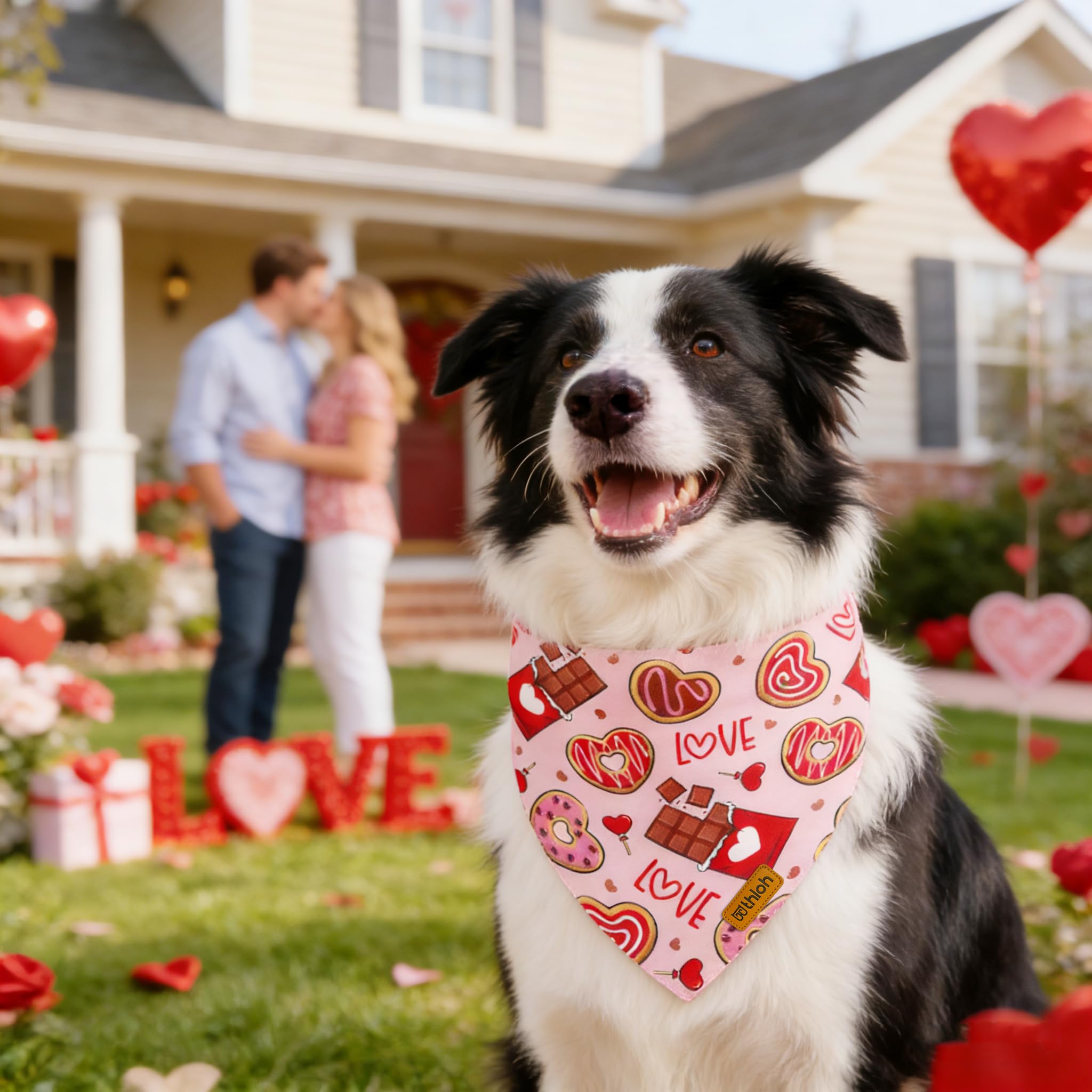 Valentines Hundehalstücher mit Druckknopf, wendbar, rosa Halstücher für kleine, mittelgroße und große Hunde, verstellbares Haustier-Kostüm-Zubehör für Fotoshootings, Größe L, 2 Stück