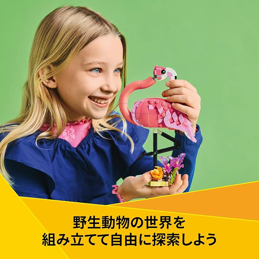 ぷちょ 実生 (フラミンゴ×プラテンシス) × レゴー アロエ 1170 ぷちょ様専用 実生 (フラミンゴ×プラテンシス) × レゴー アロエ 1170