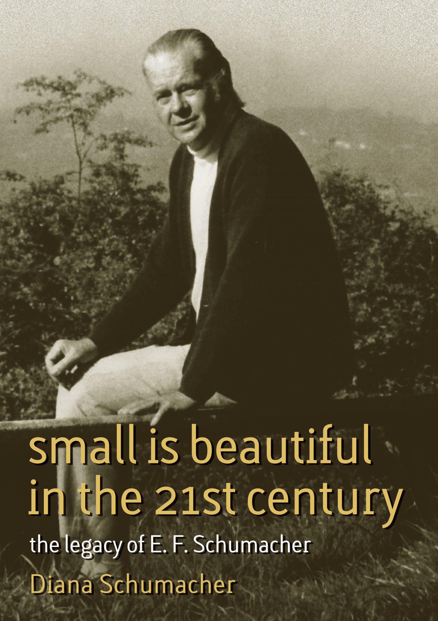 Small Is Beautiful in the 21st Century: The legacy of E.F. Schumacher (17) (Schumacher Briefings) Paperback – October 8, 2011