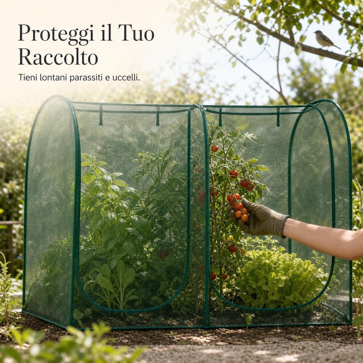Serra da Giardino con Insetti Uccelli, e Piante per Orto, per germogli