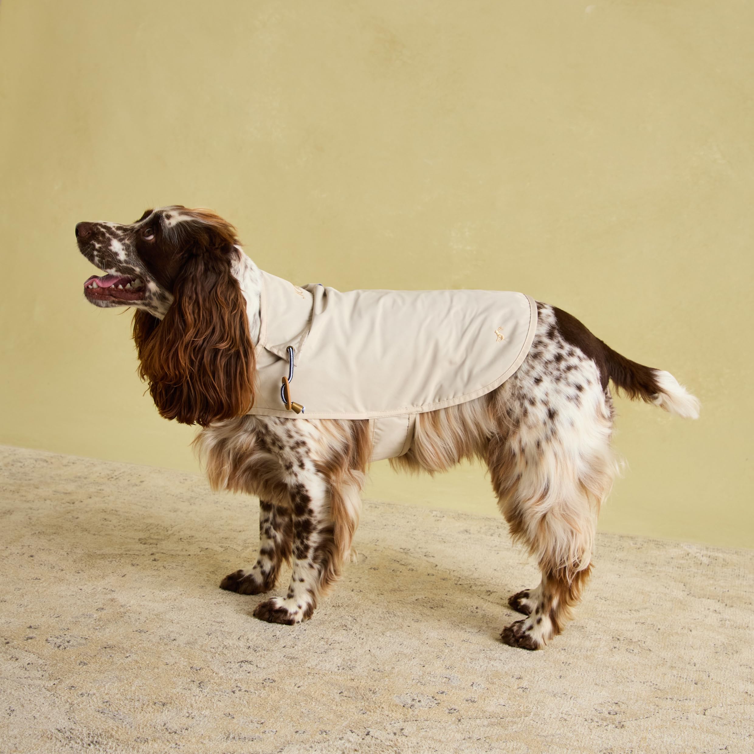 Rosewood Joules Sandshell Dog RaincoatMedium from B&Q