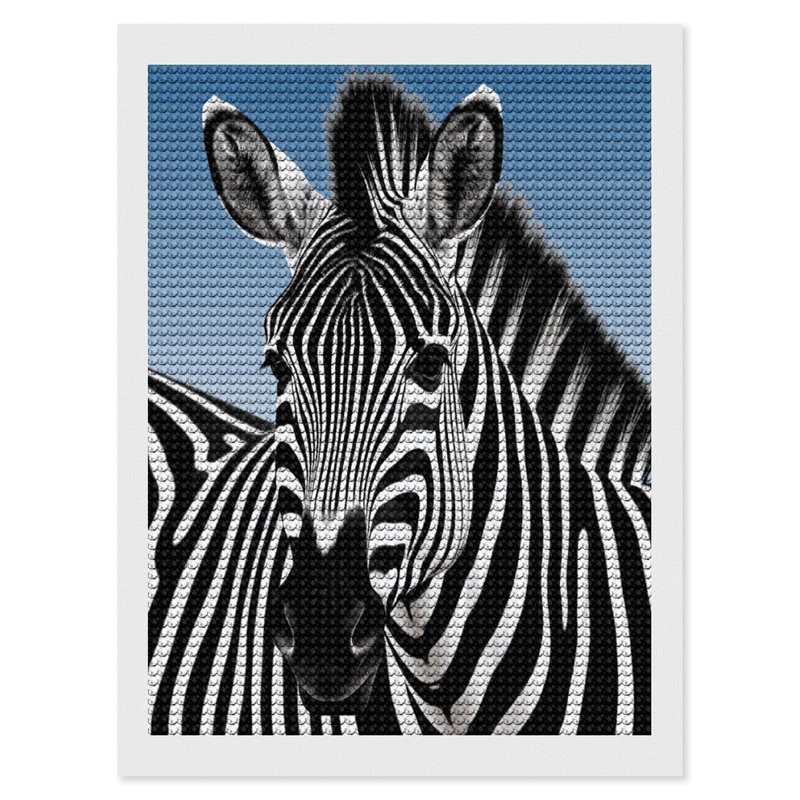FekiLoot Zebra Diamond Art Kits for Adults Diamond Painting Kits for Beginners DIY Diamond Art Kits Round Full Drill Diamond Dot Gem Painting for Home Wall Decor Gift 12"x16"