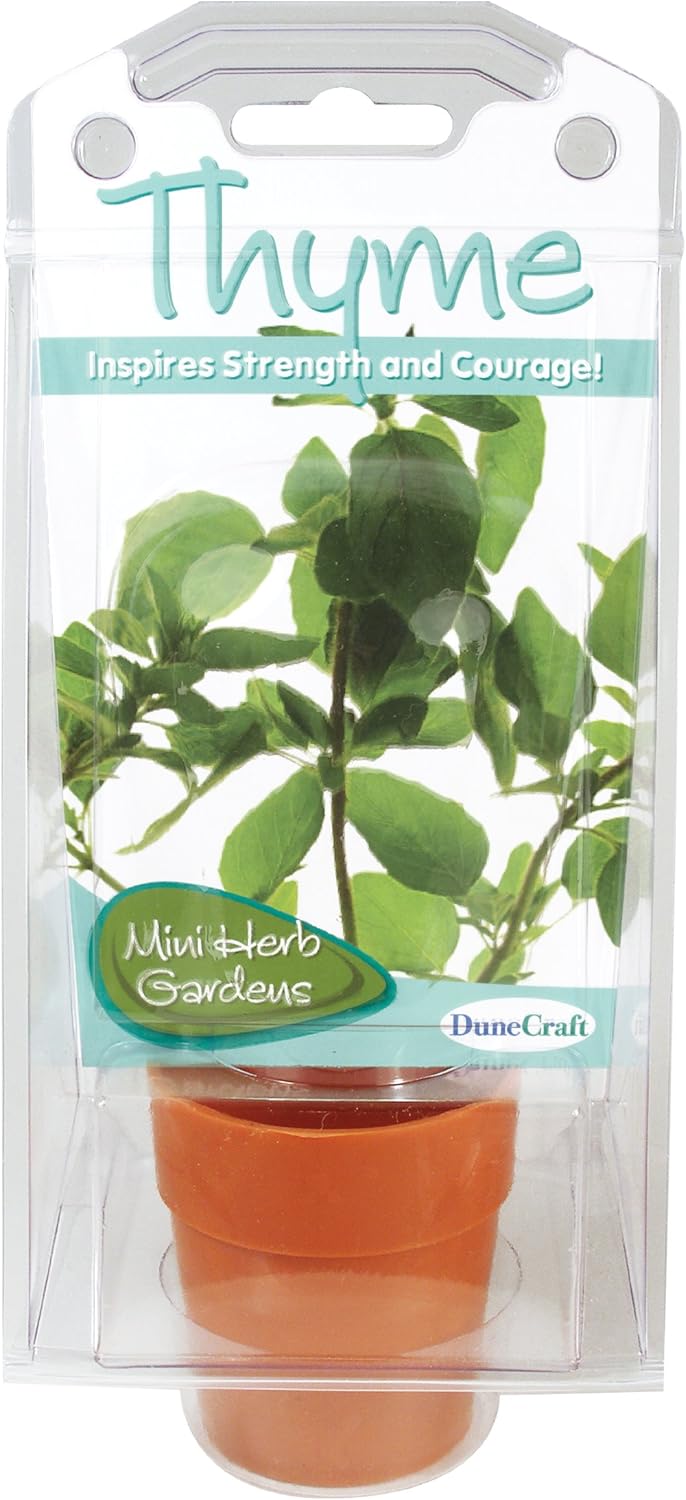 Dunecraft Thyme Capsule Terrarium Science Kit Toys & Games