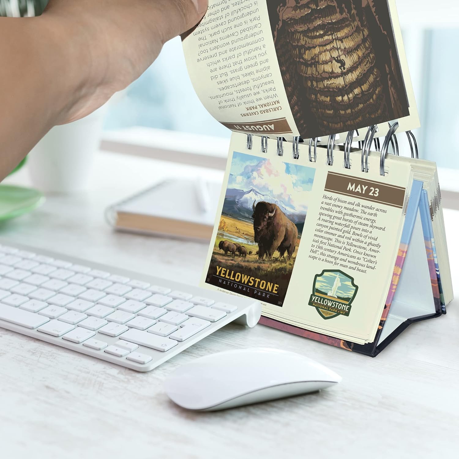 Americanflat Perpetual Flip Calendar for Office Desk - National Park Daily Perpetual Calendar with Spiral Binding featuring 63 National Parks Calendar 5.5" Desktop Size : Office Products