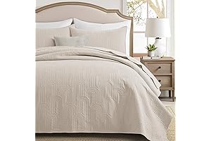 Elegant & Cozy Beige Quilt Queen Set