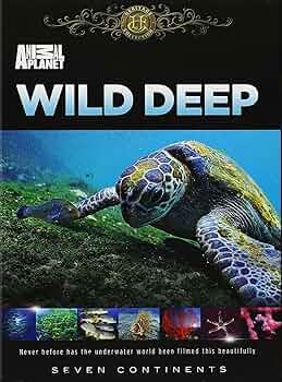 その他 Wildlife on the Prowl [DVD] Amazon.com: Walk On The Wild Side: Series 1 ( Walk On The