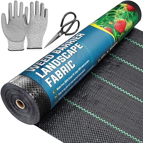 How To Tell Difference Between Flowers And Weeds at Carrie Guglielmo blog