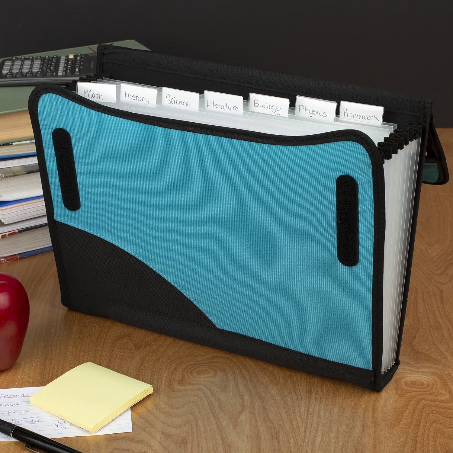 Amazon.com : Five Star Expanding File Folder, 8-Pocket Expandable