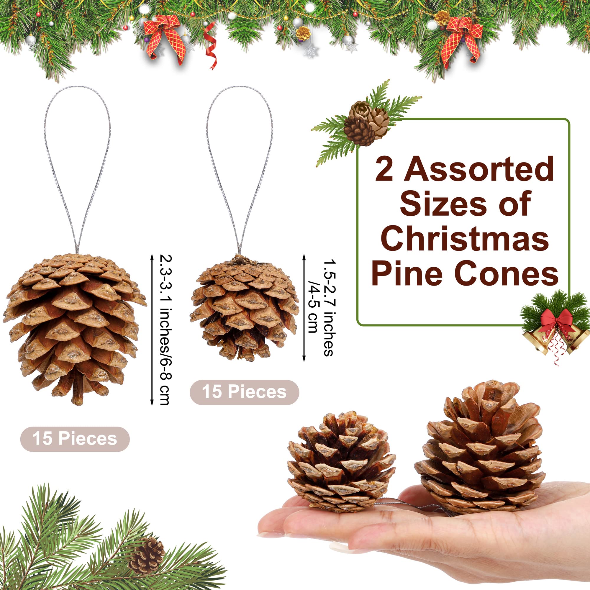 Fovths 30 Stück 2 Größen Weihnachten Tannenzapfen mit Schnur Mini Rustikale Tannenzapfen Bulk Ornamente für Weihnachtsbaum Handwerk Urlaub Zuhause Hängende Ornament Party Favor Kamin Tisch Mittelstück