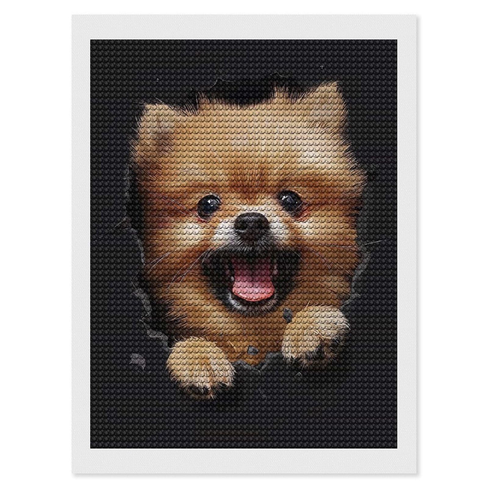 Junmoney Pomeranian(2) Diamond Painting Canvas Set 12"x16", Satisfying Creative Project, Easy to Follow Symbols, Fun Craft Experience
