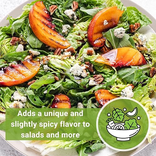 Miniatura 6 de Sow Right Seeds - Semillas de rúcula para plantar - Semillas de reliquia sin OMG con instrucciones para plantar un huerto casero - Interior,