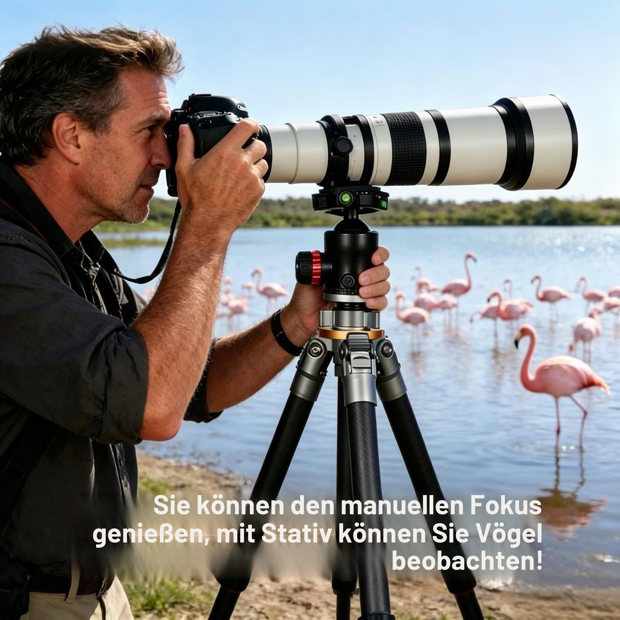 JINTU Teleobjektiv EF 650-1300mm F8 EF Objektiv für Canon SLR, Manueller Fokus MF Zoom Objektiv für Canon EOS Rebel T 4000D 2000D 1500D 1300D 1200D 850D 800D 750D 600D 500D 250D 90D 80D 77D 7D 6D 5D